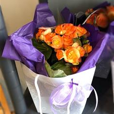 Begonias in the Breeze