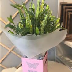 Lily Awakening Bouquet
