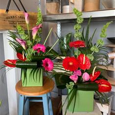 Floral Fiesta