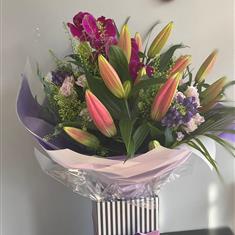 Royal Orchid Bliss