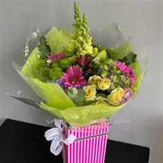 Vivid Bloom Celebration