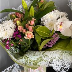 Orchid Treasures