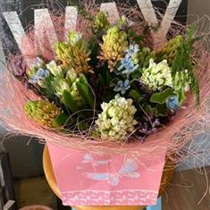 Hyacinth Drift
