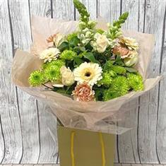 Gentle Blooms