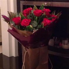 Timeless Red Roses