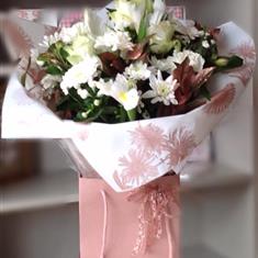 Delicate Beauty