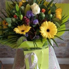 Sunshine Blooms