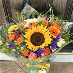 Lady Sunflower