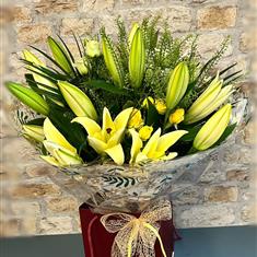 Yellow Lily