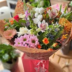 Bloom &amp; Blush