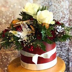 Ivory Noel