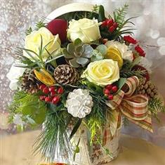 Frost &amp; Fir