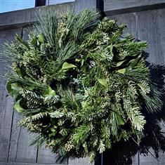 Winter Greenery