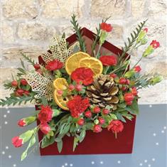 Red Christmas Flower Card