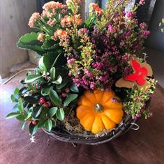 Autumnal Planter