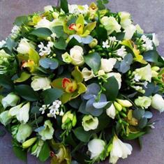 Green Meadow Tribute