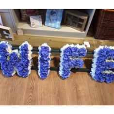 Blue and White Wife Tribute