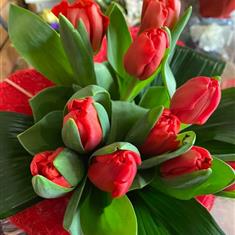 Just Tulips