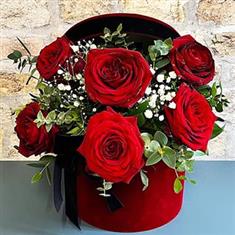 Crimson Touch