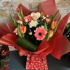 Coral Bloom