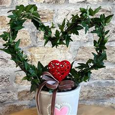 Ivy Heart