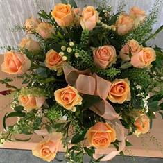 Peach Dream Gleam