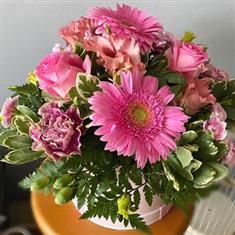 Pink Current