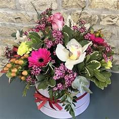 Hatbox Delight
