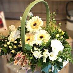 Soft Lemon Basket