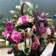 Rosy Orchid Basket