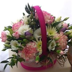 Pink Chantilly