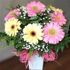 Joyful Gerberas