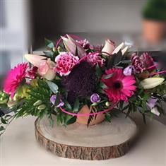 Nightfall Bloom
