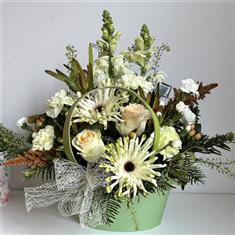 Softlight Basket