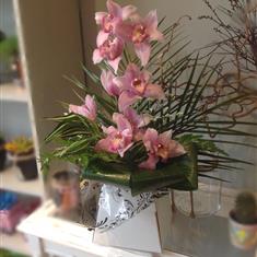 Pink Cymbidium Orchids