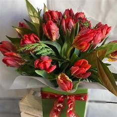 Tulip Times