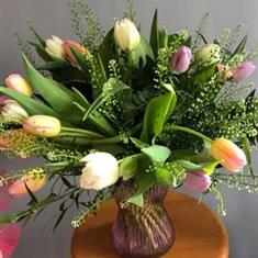 Tulip Delight