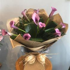 Lilac Calla Lilies