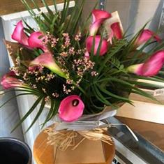 Pink Calla