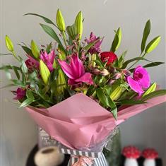 Lively Lily