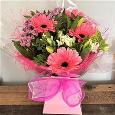 Gerbera Pop