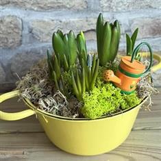 Pot of Sunshine