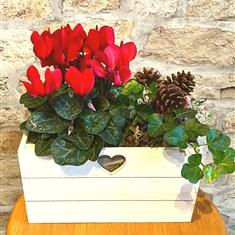 Fireside Blooms
