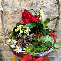 Festive Garden Basket