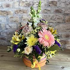 Bright &amp; Beautiful