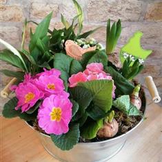 Bloom Tub