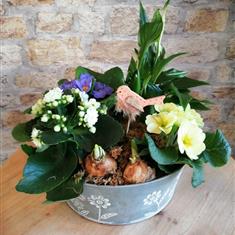 Spring Nest
