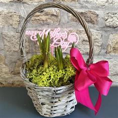 Mother&#39;s Day Bud Basket