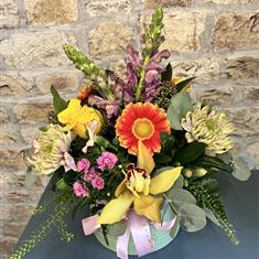 Vivid Bloom Box