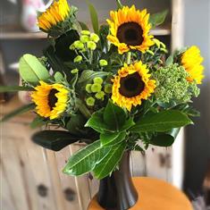 Sunshine Shandout
